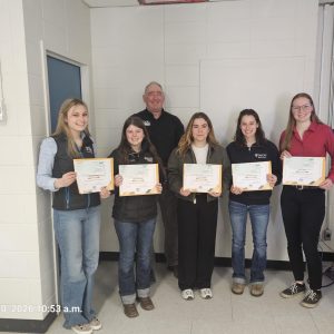 Grapes recipient group 2